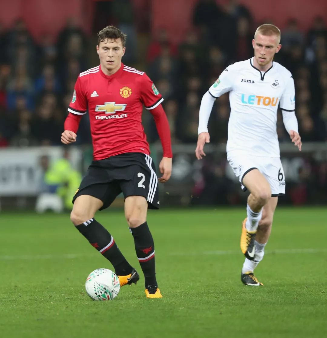 了充分滋养 了充分滋养